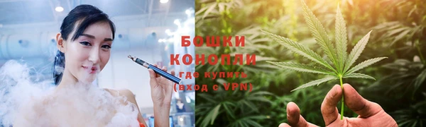 ешки Арсеньев