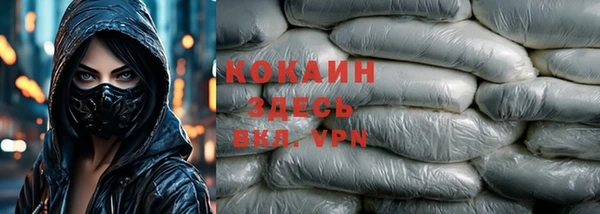 ешки Арсеньев